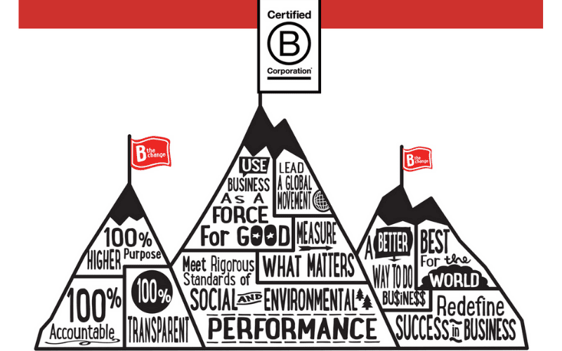 The Power of Good in the Digital World 5 B Corps Organisations cornwall