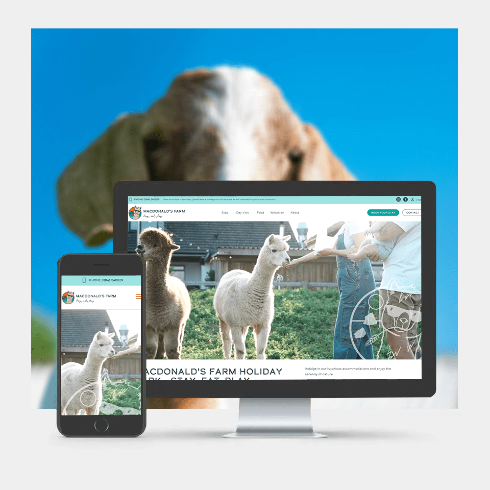 Web Design 22