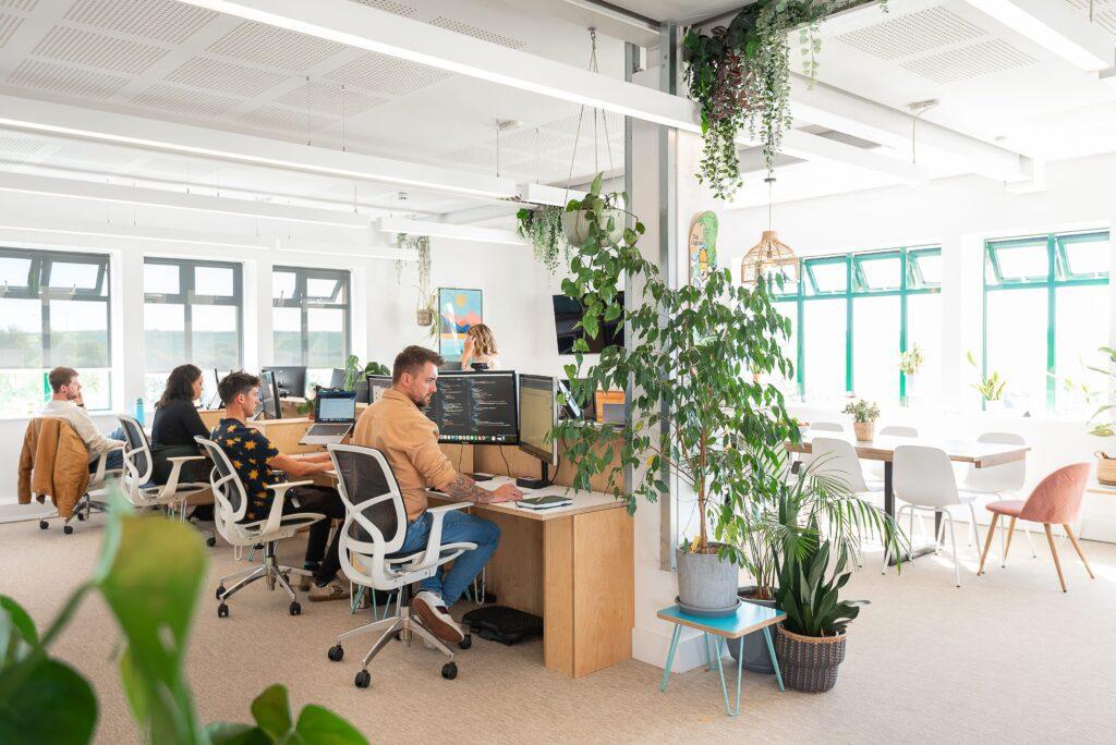 Solve's team sat at desks on their computers in a light, bright office with plants and greenery around them.